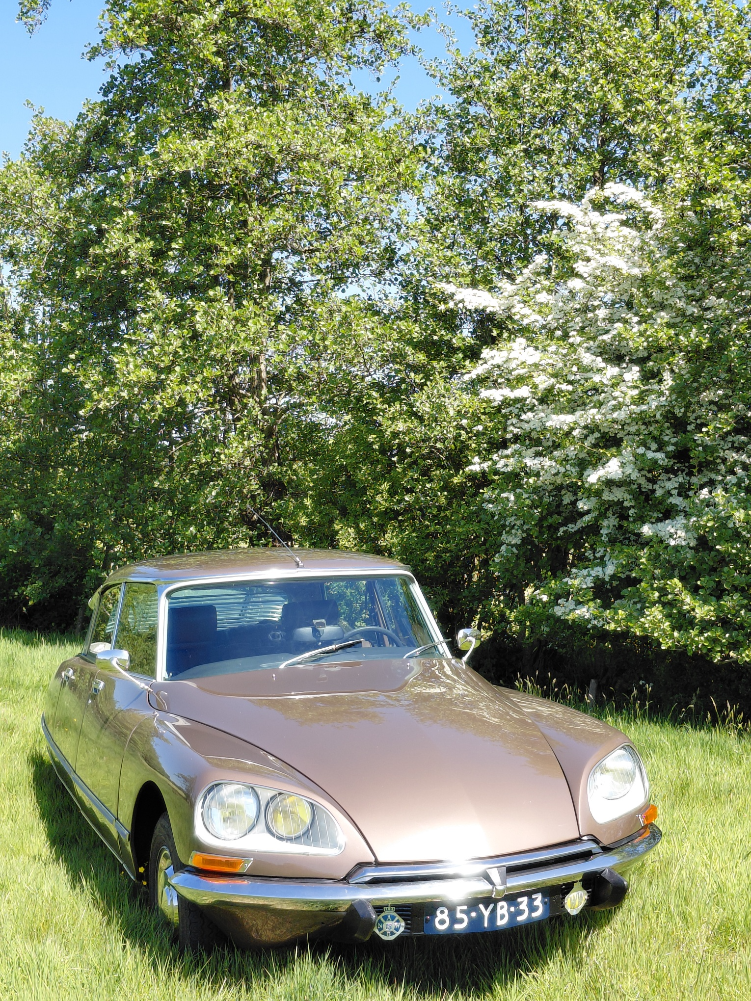 Daar krijg je spijt van – Citroën DS 23IE van Klaas Banga